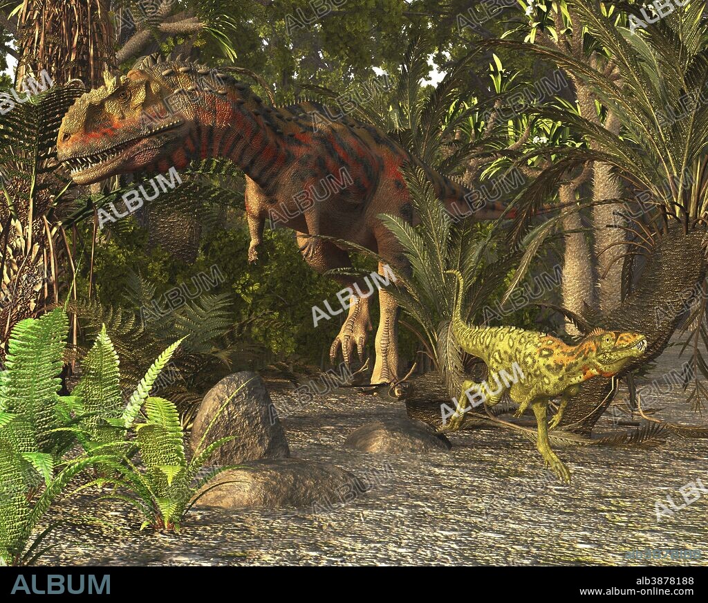 Majungasaurus and Masiakasaurus of late Cretaceous Madagascar.. . Majungasaurus was a medium sized predator from the Abelisaurid family. They grew to 23-26 feet long. There appears to be evidence of canabalism. This is probably because of their island environment. Masiakasaurus was a small dinosaur about5-6 feet long. It had forward pointing front teeth for grasping small prey and/or tearing flesh off larger bodies for scavenging.