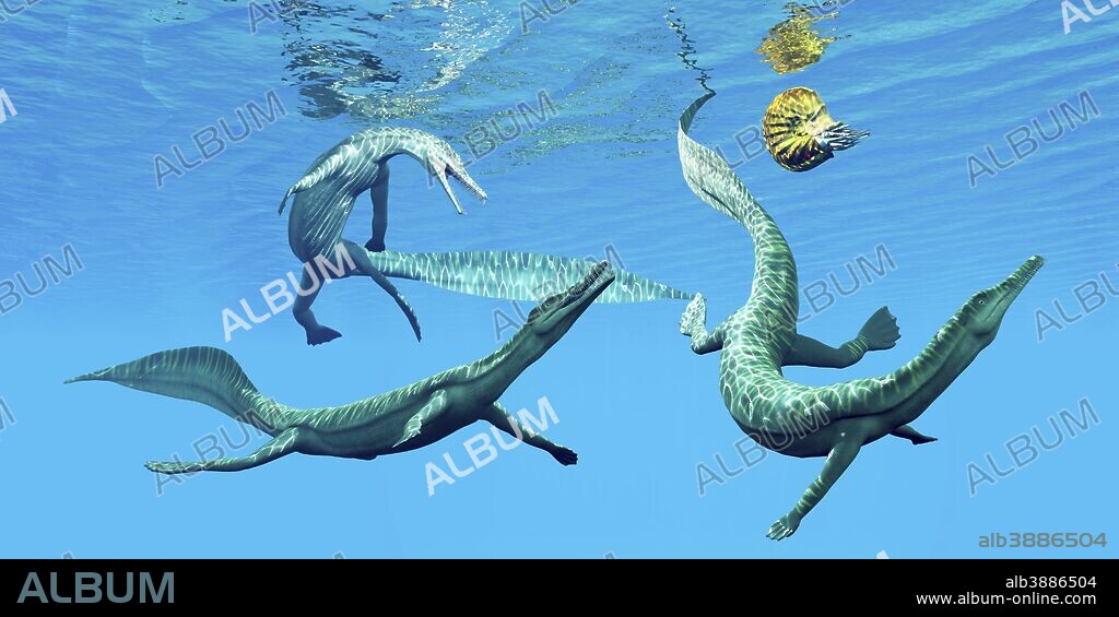 Mesosaurus reptiles chase after an ammonite which was a frequent prey in the oceans of the Permian Period.