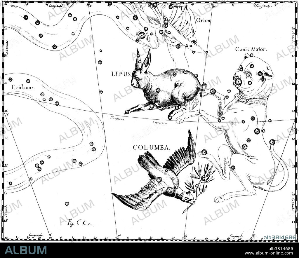 Lepus constellation from Johannes Hevelius' Prodromus astronomiae, Firmamentum Sobiescianum, sive Uranographia, 1687. Lepus is a constellation lying just south of the celestial equator, immediately south of Orion. Its name is Latin for hare. Although the hare does not represent any particular figure in Greek mythology, Lepus was one of the 48 constellations listed by the 2nd century astronomer Ptolemy, and it remains one of the 88 modern constellations defined by the International Astronomical Union. Lepus is most often represented as a rabbit being and is located below the constellation Orion (the hunter), whose hunting dogs (Canis Major and Canis Minor) pursue it. The Hevelius Firmamentum was the first star atlas to rival Bayer's Uranometria in accuracy, utility, innovation, and influence. Hevelius was perhaps the most active observational astronomer of the last half of the seventeenth century. His star atlas is notable for many reasons. It contains 56 large, double page engraved star maps. The star positions for the charts were derived from his own star catalog, based on his own observations, which was first published along with the atlas. It is unique among the Grand Atlases in choosing to depict the constellations as they would appear on a globe, that is, from the outside looking in, rather than from a geocentric point of view, as Bayer and most others adopted.