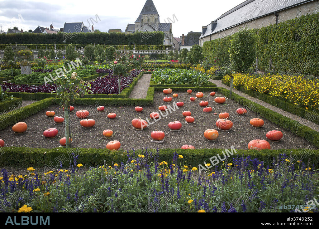 Vegetable garden, Chateau de Villandry, UNESCO World Heritage Site, Indre-et-Loire, Touraine, Loire Valley, France, Europe.
