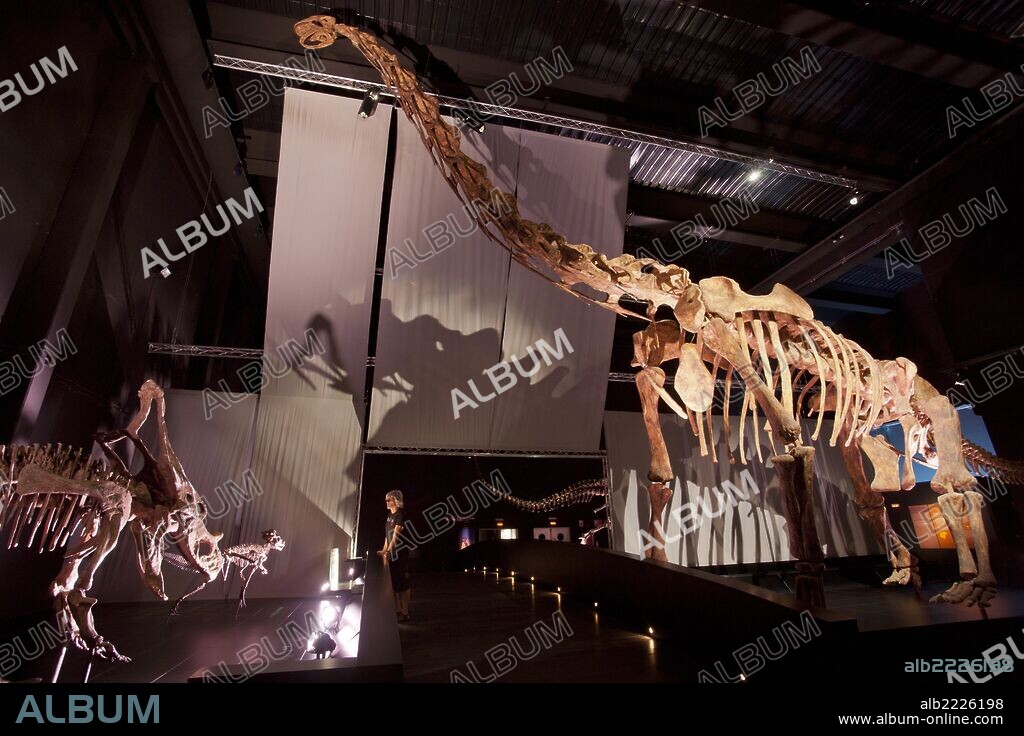 Brachiosaurus.Dinòpolis. Museo paleontólogico de Teruel, fundación conjunto Paleontólogico de Teruel. Aragon. españa.