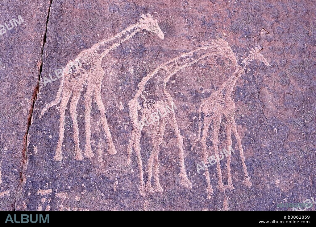 Neolithic rock art, Bubaline or Bubalus period, rock engraving of giraffes, Tadrart, Tassili n'Ajjer National Park, Unesco World Heritage Site, Sahara desert, Algeria, Africa.