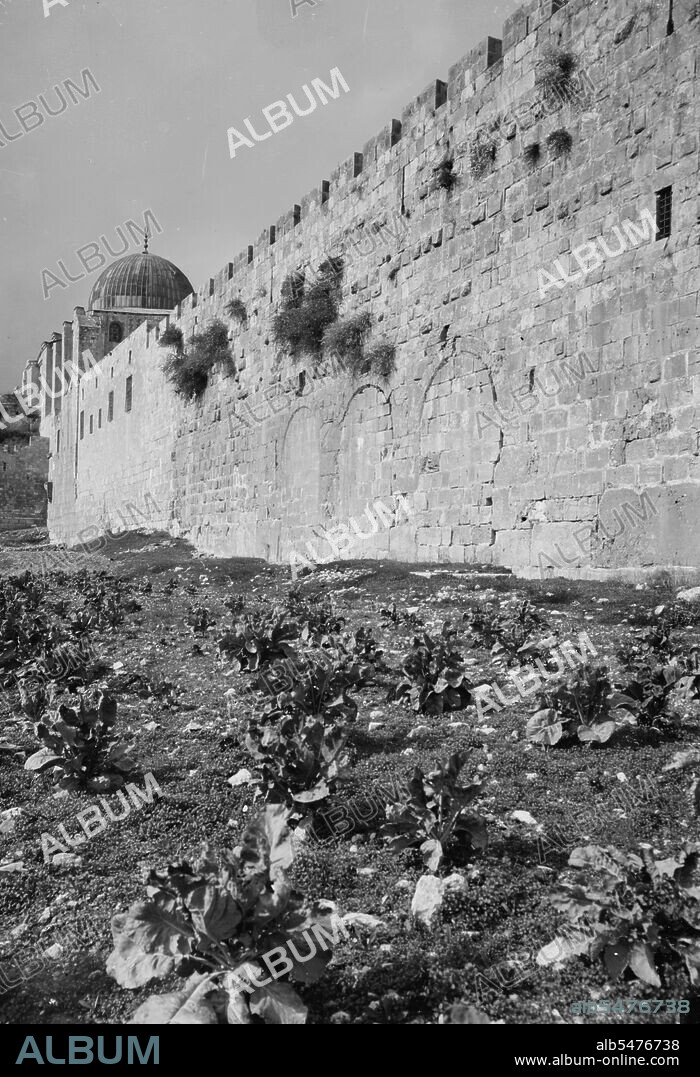 The city wall in Jerusalem, the Triple Gate. ca. 1900.