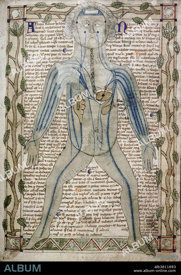 Illustration of Galen's Theory of the blood, 1292. Among Galen's major contributions to medicine was his work on the circulatory system. He was the first to recognize that there are distinct differences between venous (dark) and arterial (bright) blood. Although his anatomical experiments on animal models led him to a more complete understanding of the circulatory system, nervous system, respiratory system, and other structures, his work contained scientific errors. He believed the circulatory system to consist of two separate one-way systems of distribution, rather than a single unified system of circulation. He believed venous blood to be generated in the liver, from where it was distributed and consumed by all organs of the body. He posited that arterial blood originated in the heart, from where it was distributed and consumed by all organs of the body. The blood was then regenerated in either the liver or the heart, completing the cycle.