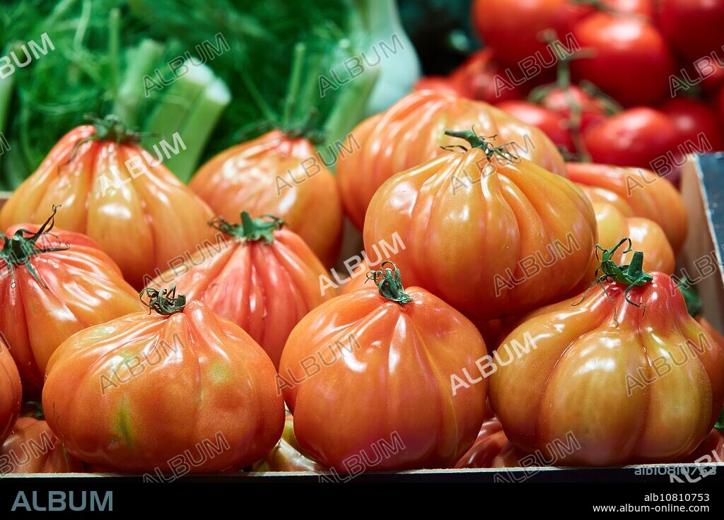 Tomatoes, Mercat St Josep, La Boqueria market, Las Ramblas. Barcelona. Catalonia. Spain.