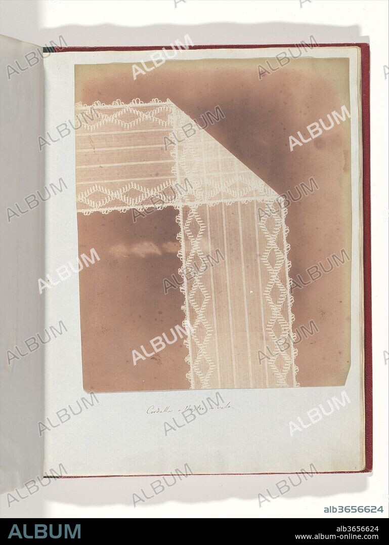 Cordella o Nastro a velo. Artist: William Henry Fox Talbot (British, Dorset 1800-1877 Lacock). Dimensions: 21.6 x 18 cm (8 1/2 x 7 1/16 in.). Date: 1839.