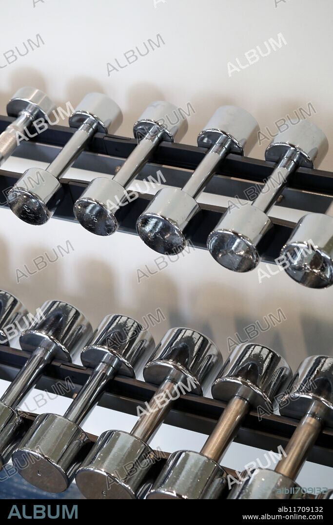 Row of dumbbells in sport club. Exercise in gym for healthy concept. Phu Quoc. Vietnam.