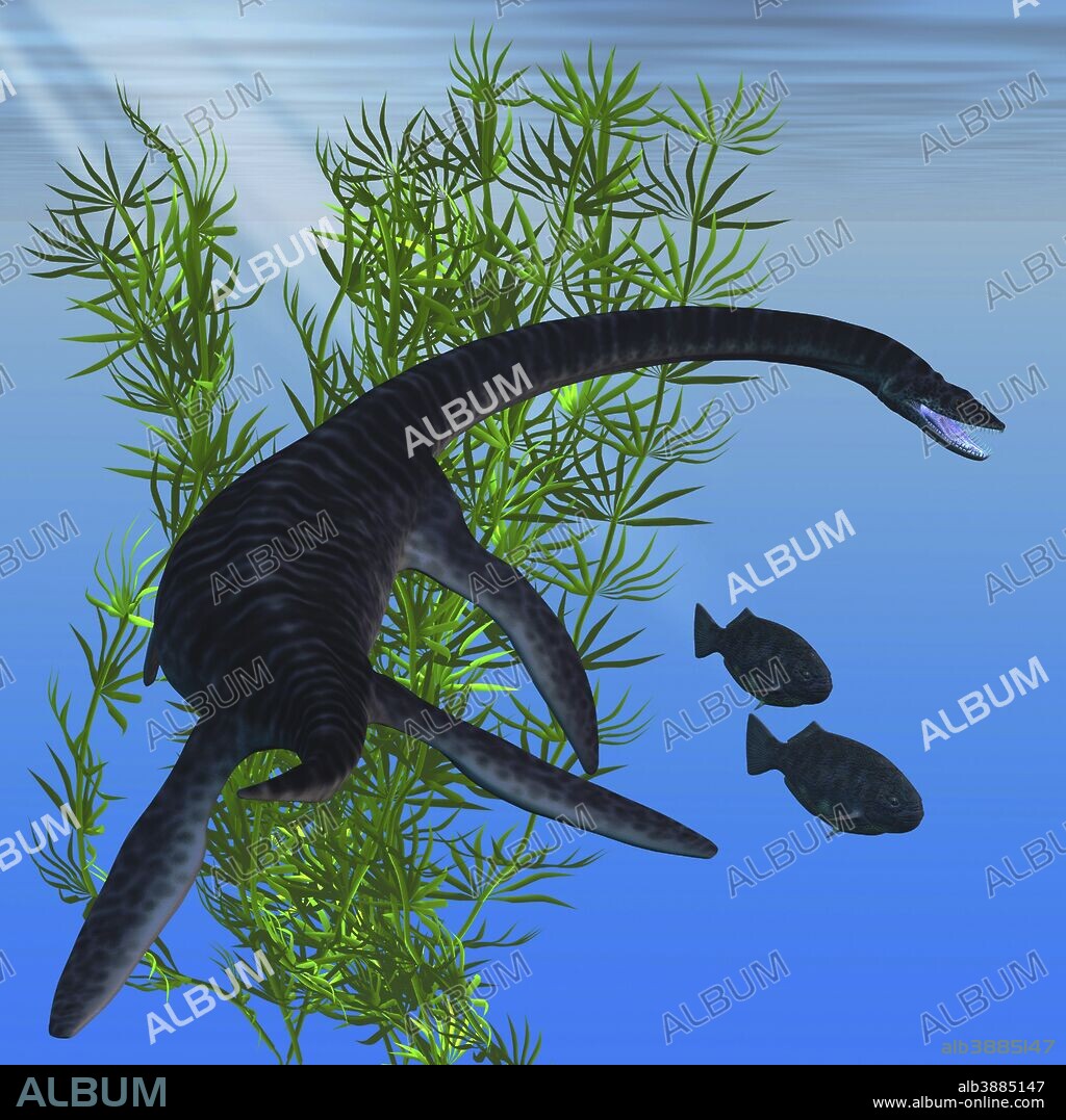 A Plesiosaurus dinosaur turns to go after two Dapedius fish from the Jurassic Era.