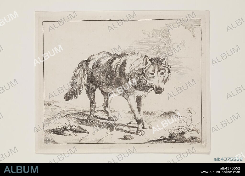Marcus de Bye, Dutch, 1639 - 1690, after Paul Potter, Dutch, 1625 - 1654, Standing Wolf in Three-Quarter View, 17th century, etching printed in black ink on laid paper, Plate: 5 1/4 × 6 3/4 inches (13.3 × 17.1 cm).