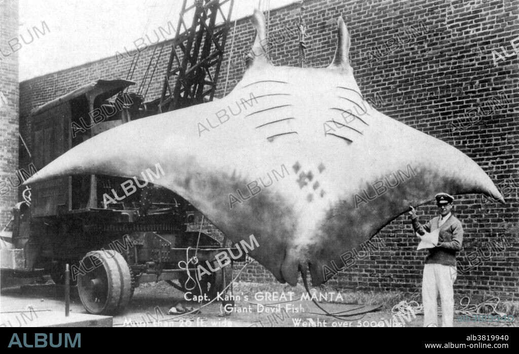 Captain Kahn's GREAT MANTA, more than 20 feet wide, weight over 5000 lbs, Garraway County, Rutherford, New Jersey, 1933. A postcard is a rectangular piece of thick paper or thin cardboard intended for writing and mailing without an envelope. Postcards were made because people were looking for an easier way to send quick notes. Postcards, in the form of government postal cards and privately printed souvenir cards, became very popular as a result of the Columbian Exposition, held in Chicago in 1893, after postcards featuring buildings were distributed at the fair.
