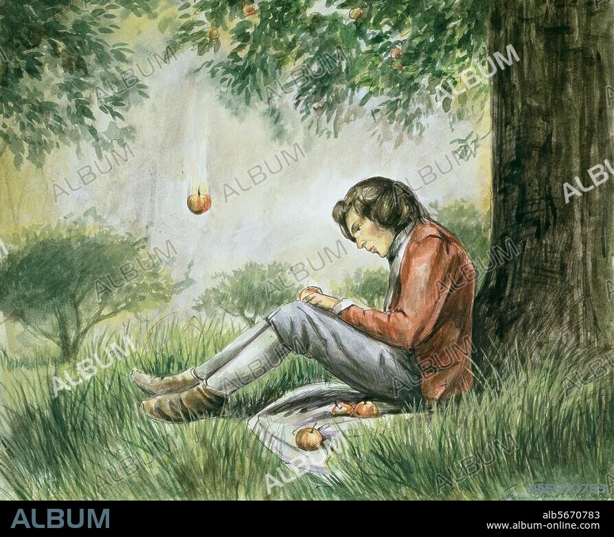 Newton, Sir Isaac; English physicist and mathematician; Woolsthorpe at Grantham  4.1.1643 - Kensington 31.3.1727. "Isaac Newton under the apple tree". (In 1666, Newton discovers the law of gravity from a falling apple). Watercolour, 2002, by Johann Brandstetter (born 1959). On paper, 24.7 × 29.5 cm. Possession of the artist.