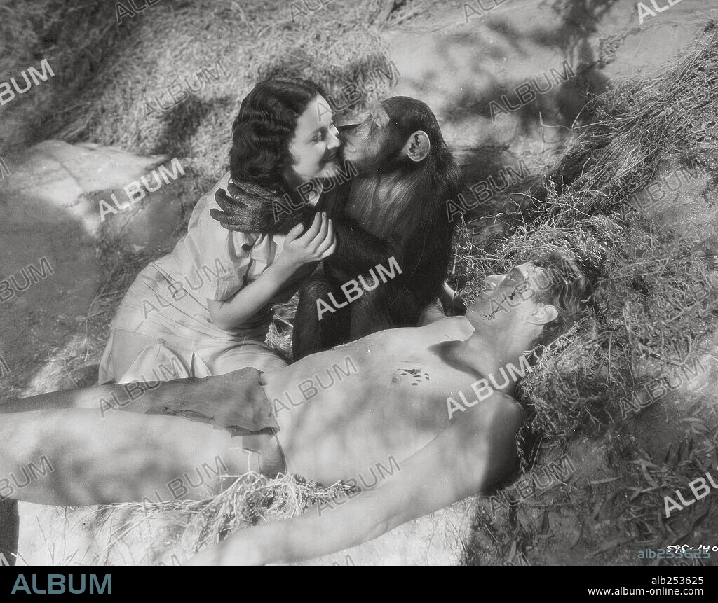 CHITA [CHEETAH], JOHNNY WEISSMULLER et MAUREEN O'SULLIVAN dans TARZAN, THE APE MAN, 1932, réalisé par W. S. VAN DYKE. Copyright M.G.M.