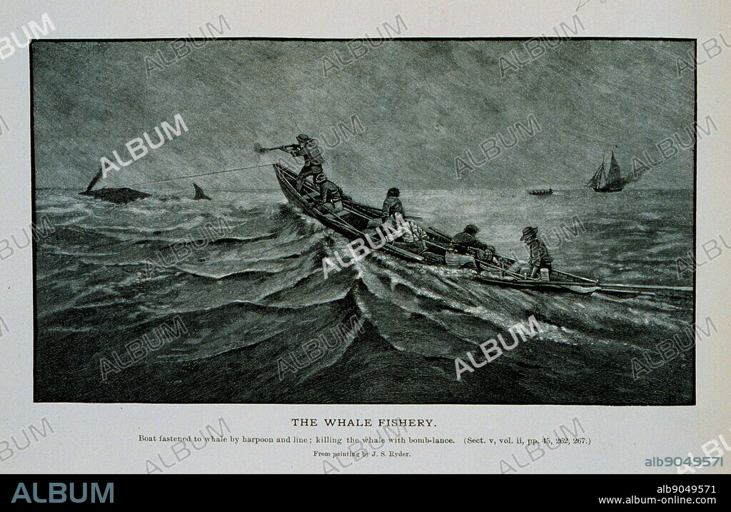 Boat fastened to whale by harpoon and line. Killing the whale with bomb lance. From a painting by J. S. Ryder.