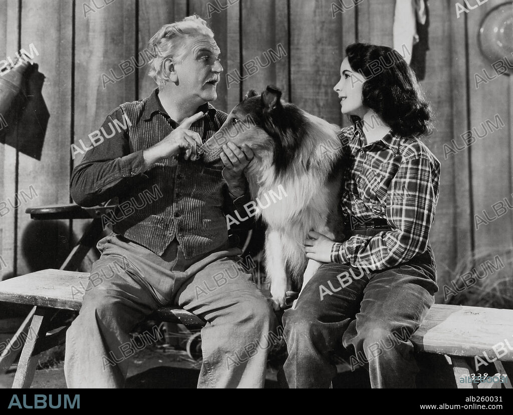 ELIZABETH TAYLOR and FRANK MORGAN in COURAGE OF LASSIE, 1946, directed by FRED M. WILCOX. Copyright METRO GOLDWYN MAYER.