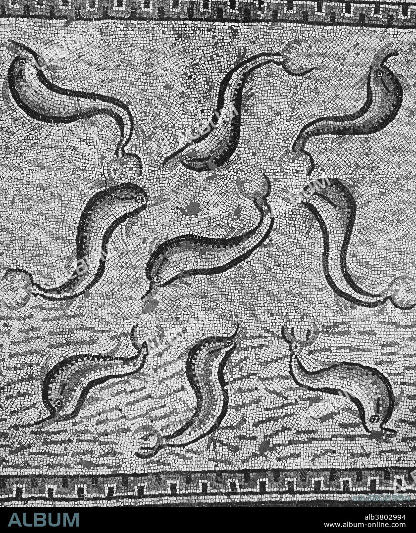 Mosaic floor in house of Orpheus showing dolphins. Roman ruins at Volubilis, 2nd-3rd Century AD. Volubilis, or Walili, is an archeological site in Morocco situated near Meknes between Fez and Rabat along the N13 road. Walili features the best preserved Roman ruins in this part of northern Africa. In 1997 the site was listed as a UNESCO World Heritage site. Volubilis was an important Roman town situated near the westernmost border of Roman conquests. It was built on the site of the previous Punic settlement, but that settlement overlies an earlier neolithic habitation. In Roman literature, and again in art and statuary, it is the dolphin that carries souls to the 'Islands of the Blest'.