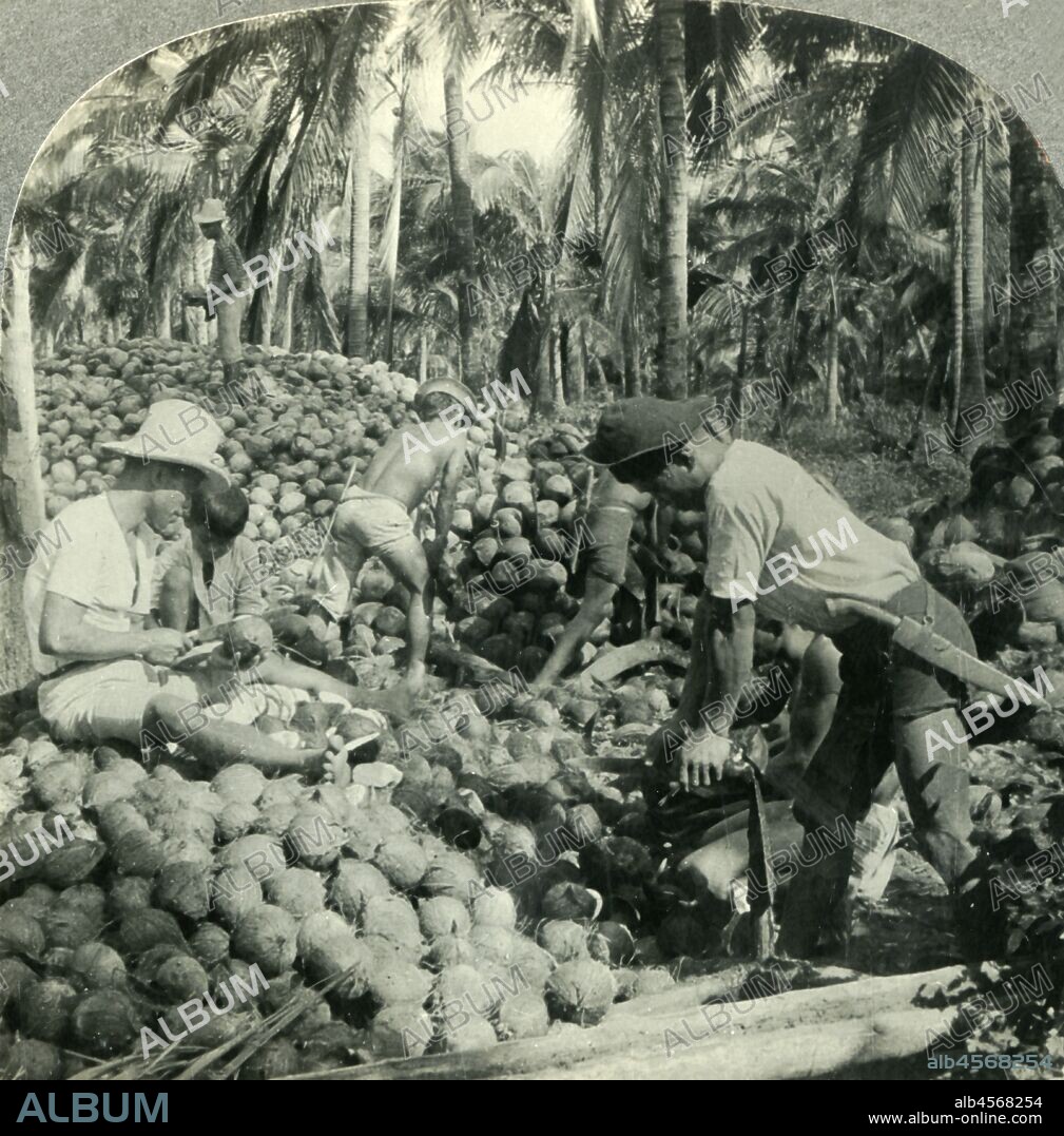 'Husking Coconuts - a Familiar Scene in the Great Coconut Country near Pagsanjan, Island of Luzon, P.I.', c1930s. From "Tour of the World". [Keystone View Company, Meadville, Pa., New York, Chicago, London].