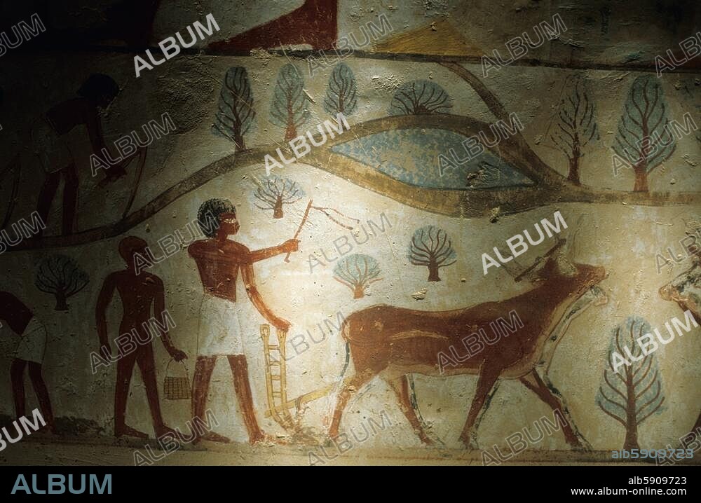 Egyptian wall painting, New Kingdom, 18th Dynasty, c. 1390 BC. Farmers behind a plough being pulled by an ox. Wall painting from the tomb of Nakht, scribe and priest under Thutmose IV. Luxor Thebes, tombs of Sheikh Abd al-Qurnah.