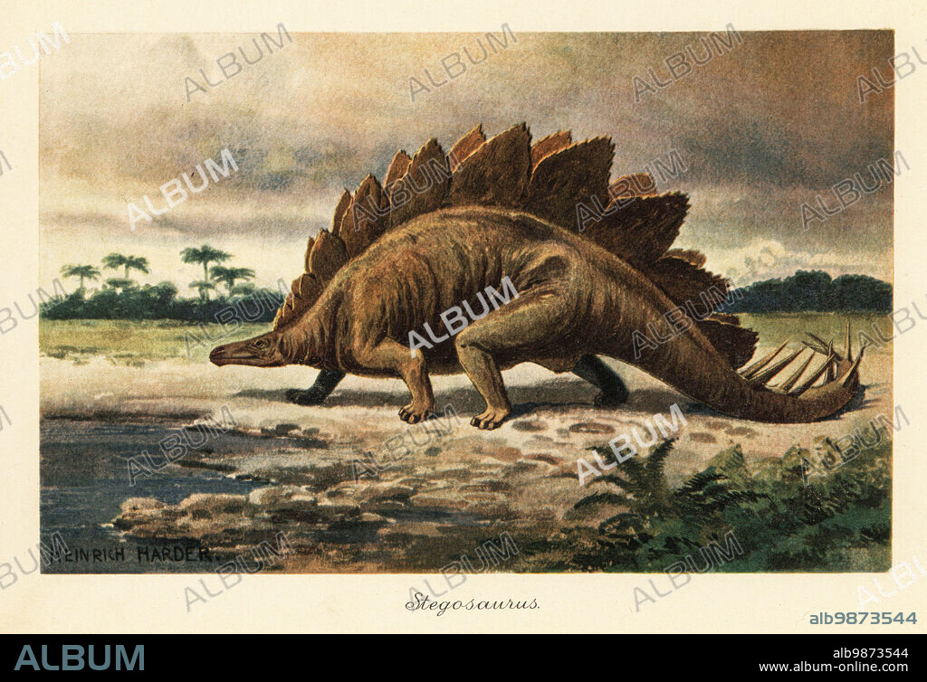 Stegosaurus armatus, extinct armored dinosaur of the Late Jurassic with distinctive tail spikes and plates along its spine. Stegosaurus. Colour printed illustration by Heinrich Harder from Wilhelm Bolsches Tiere der Urwelt (Animals of the Prehistoric World), Reichardt Cocoa company, Hamburg, 1908. Heinrich Harder (1858-1935) was a German landscape artist and book illustrator.