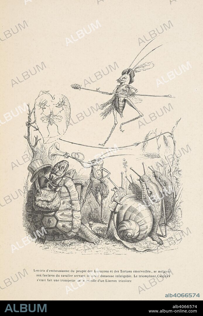 HONORÃ© DE BALZAC and GRANDVILLE. Les cris d'enthousiasme du peuple des Limacons et des Tortues emerveilles, se melaient aux fanfares du cavalier servant de cette danseuse infatigable, Le triomphant Criquet s'etait fait une trompette de la corolle d'un liseron tricolore. Anthropomorphic image of a tortoise and snails watching a Cricket performing on a high wire. Peines de cÅ“ur d'une chatte anglaise.-Guide-aÌ‚ne aÌ€ l'usage des animaux qui veulent parvenir aux honneurs.-Voyage d'un lion d'Afrique aÌ€ Paris.-Les Amours de deux beÌ‚tes. In: Stahl (P. J.) pseud. SceÌ€nes de la vie priveÌe des animaux ... EÌtudes de mÅ“urs contemporaines publieÌes sous la direction de M. P. J. Stahl, avec la collaboration de Messieurs de Balzac, L. Baude, etc. 1842. Source: 1457.k.1 plate opposite page 128.