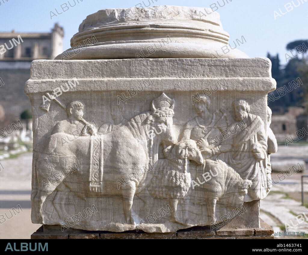 Basa de los Decenales. Erigida en el 303 para conmemorar los diez años de gobierno de Diocleciano y Majencio. En el relieve se muestra la Suoventaurilia, el sacrificio ceremonial público de jabalí, carnero y toro. Foro Romano. Roma. Italia.