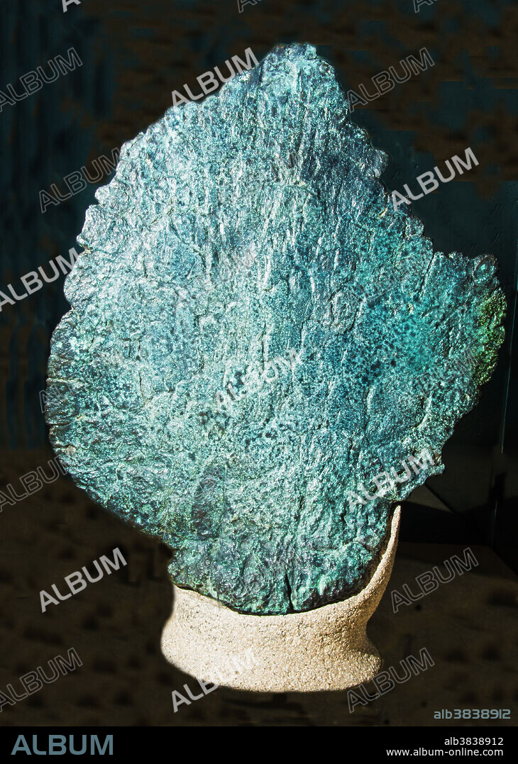 Stegosaurus Back Armor Plate Fossil