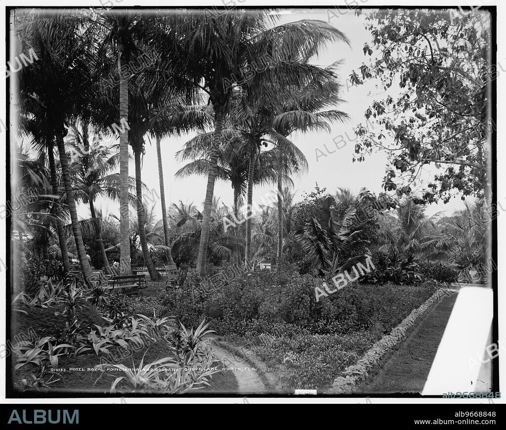 Hotel Royal Poincianna i.e. Poinciana and cocoanut grove, Lake Worth, Fla., c1900.