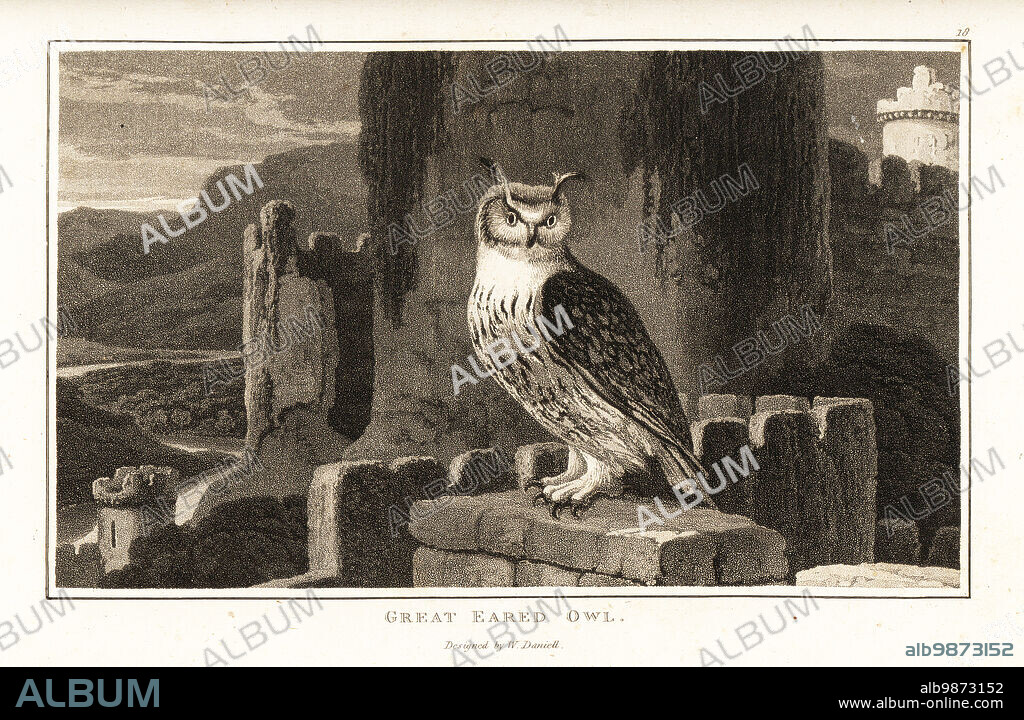 Eurasian eagle-owl, Bubo bubo, perched on top of the ruins of a Gothic castle in a mountainous terrain. Aquatint drawn and engraved by William Daniell from William Woods Zoography, Cadell and Davies, 1807.