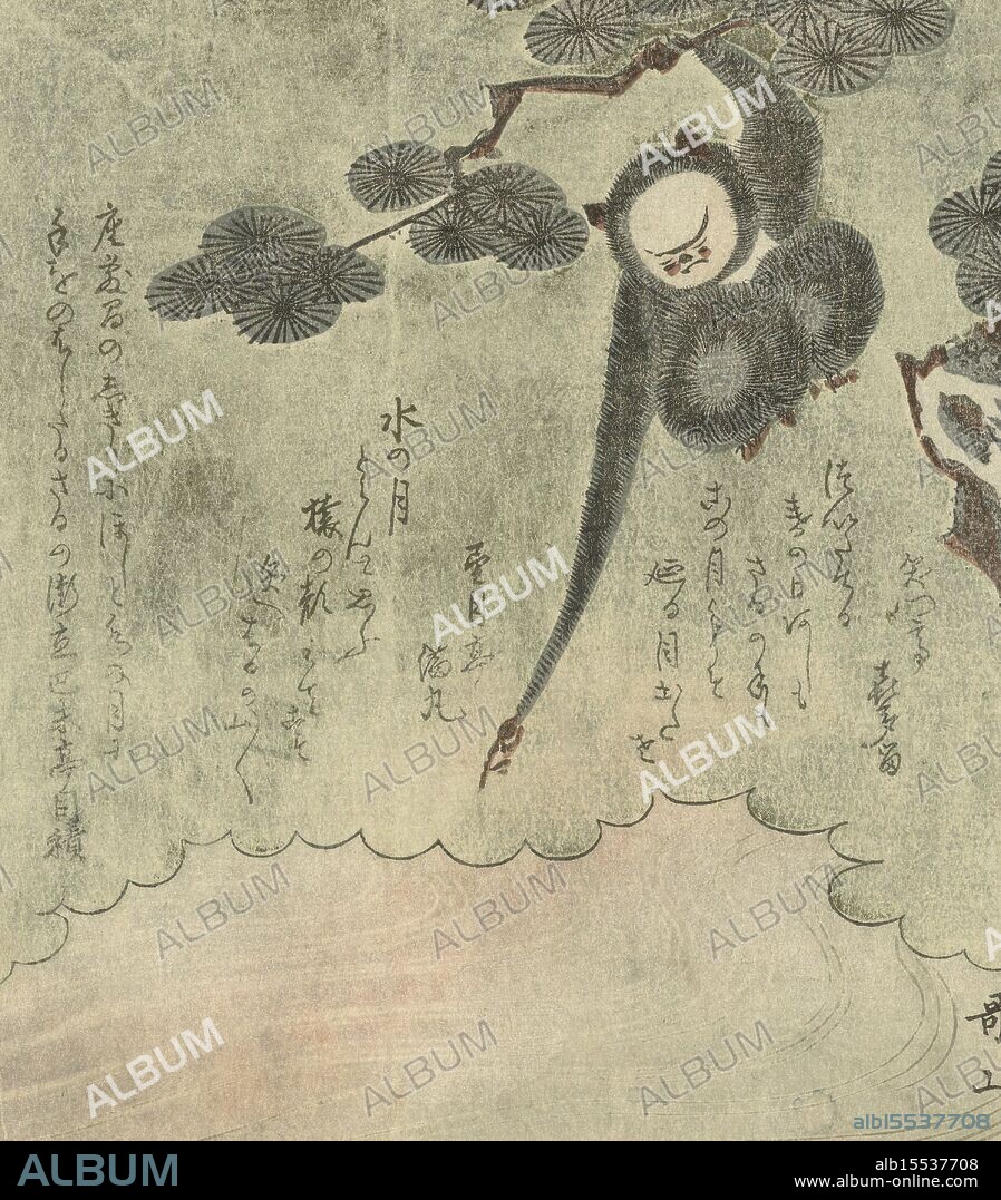Japan, Metsumi, Hamitei, Mitsumaru, Seigetsutei, Kitaru, Shômontei, Utayama, Ishikawa, Monkey reaches for the reflection of the moon, A monkey hangs with one arm from a branch of a pine tree and tries to grab the reflection of the moon. The image is depicted as if it were a standing room screen (tsuitate). Such a screen was usually placed directly behind the door of a house, to keep out evil spirits, because of the belief that they could only move in straight lines move. With three poems., print, prent, surimono, prints, Japan (collection), height 195 mm, width 175 mm, Japanese, print maker, printmaker, 1824 - 1824, first quarter 19th century, paper, colour woodcut, colour woodblock, poet.