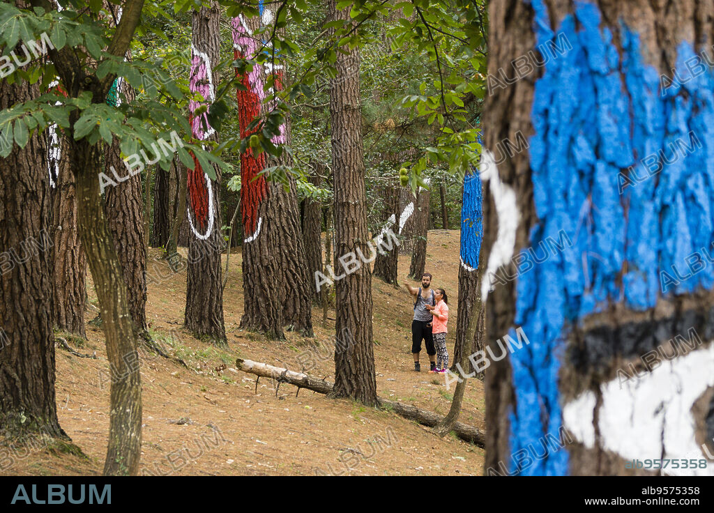 bosque de Oma, ,1984, Agustin Ibarrola,Kortezubi, Vizcaya,Euzkadi, Spain.