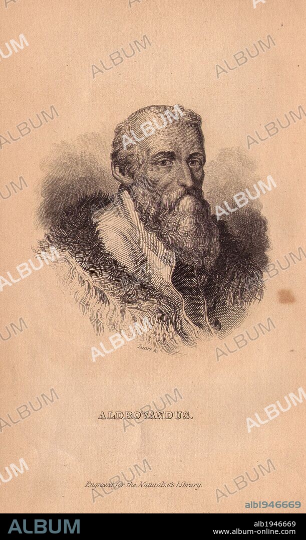 Ulisse Aldrovandi or Aldrovandus (1522 –1605), Italian naturalist and founder of Bologna's botanical garden.. . Portrait engraved on steel by W.H. Lizars, from Sir William Jardine's "The Naturalist's Library" 1833, Edinburgh.
