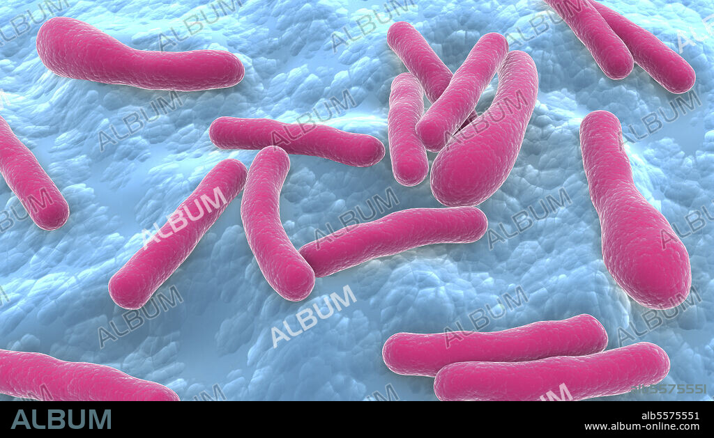 Biomedical illustration of Clostridium botulinum bacteria.