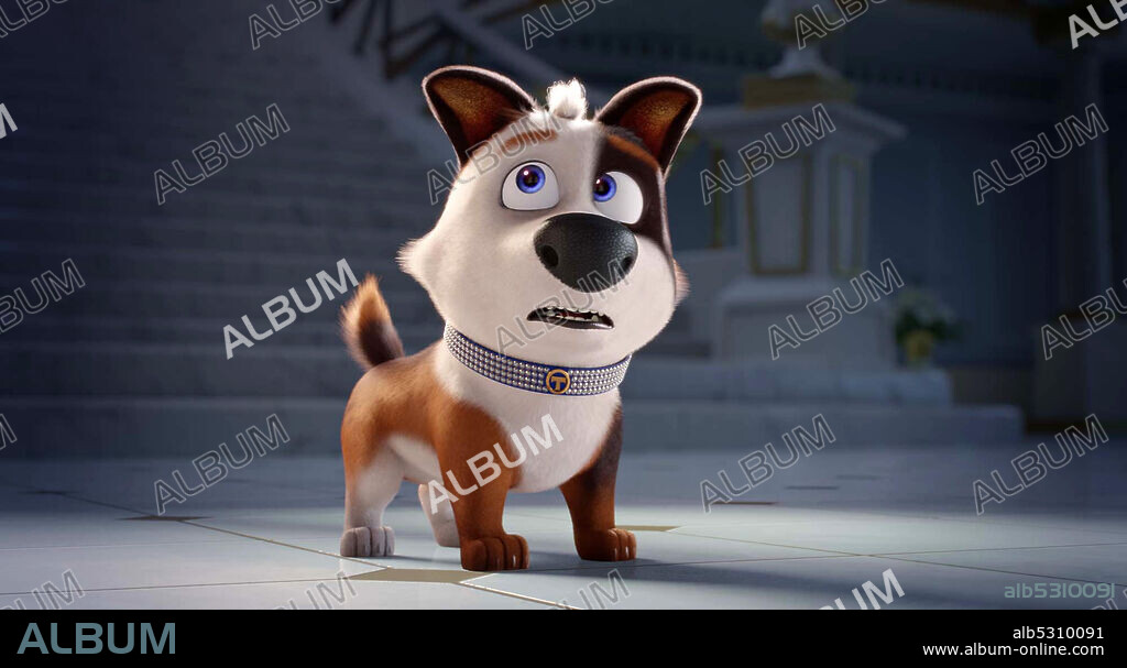 TRASTO. DE LA MANSION A LA CALLE, 2019 (TROUBLE), dirigida por KEVIN JOHNSON. Copyright VANGUARD ANIMATION.