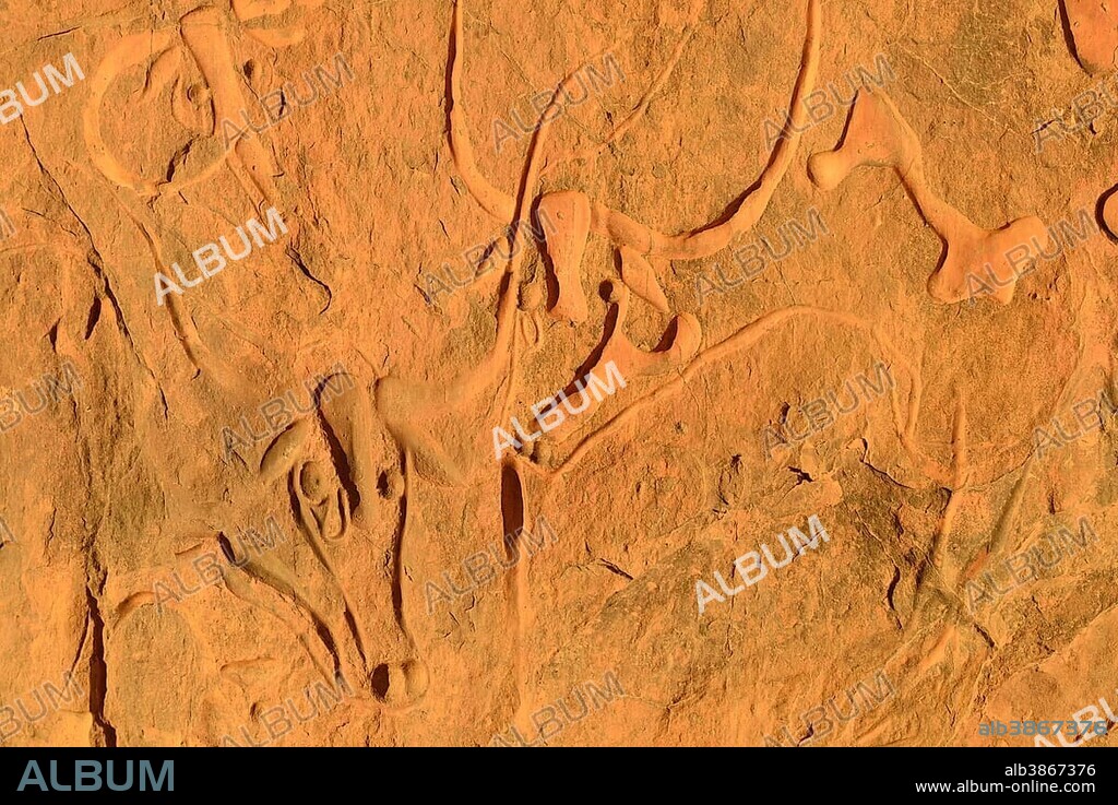 La vache qui pleure, rock engraving of a crying cow, neolithic rock art near Djanet, Tassili N´Ajjer National Park, Unesco World Heritage Site, Algeria, Sahara, North Africa, Africa.