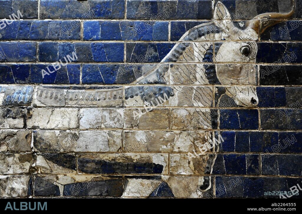 ARTE MESOPOTAMICO. NEOBABILONICO. PUERTA DE ISHTAR DE BABILONIA. (s. VI a. C.). Originalmente era una de las ocho puertas monumentales de la muralla interior de Babilonia. Fue construida en el año 575 a. C. durante el reinado de NABUCODONOSOR II (604-562 a. C.) con ladrillos de adobe de color azul. Reconstruida en 1930. Detalle de un TORO. Museo Arqueológico. Estambul. Turquía.