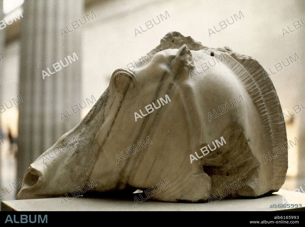 FIDIAS. CABEZA CABALLO-PROCEDE FRONTON PARTENON-GRECIA.