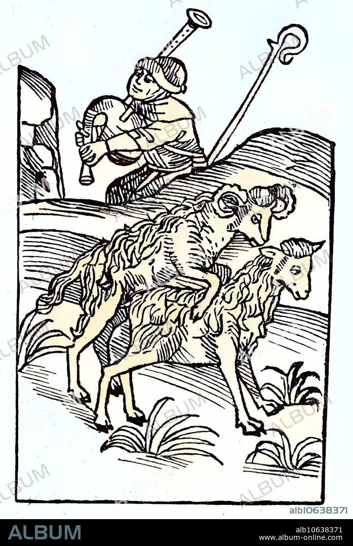 Digitally restored, Paarung von Widder und Schaf, Holzschnitt, Veröffentlichung aus dem Jahr 1882, Digitally improved:, Mating or mateing of Aries and sheep, woodcut, publication from the year 1882.