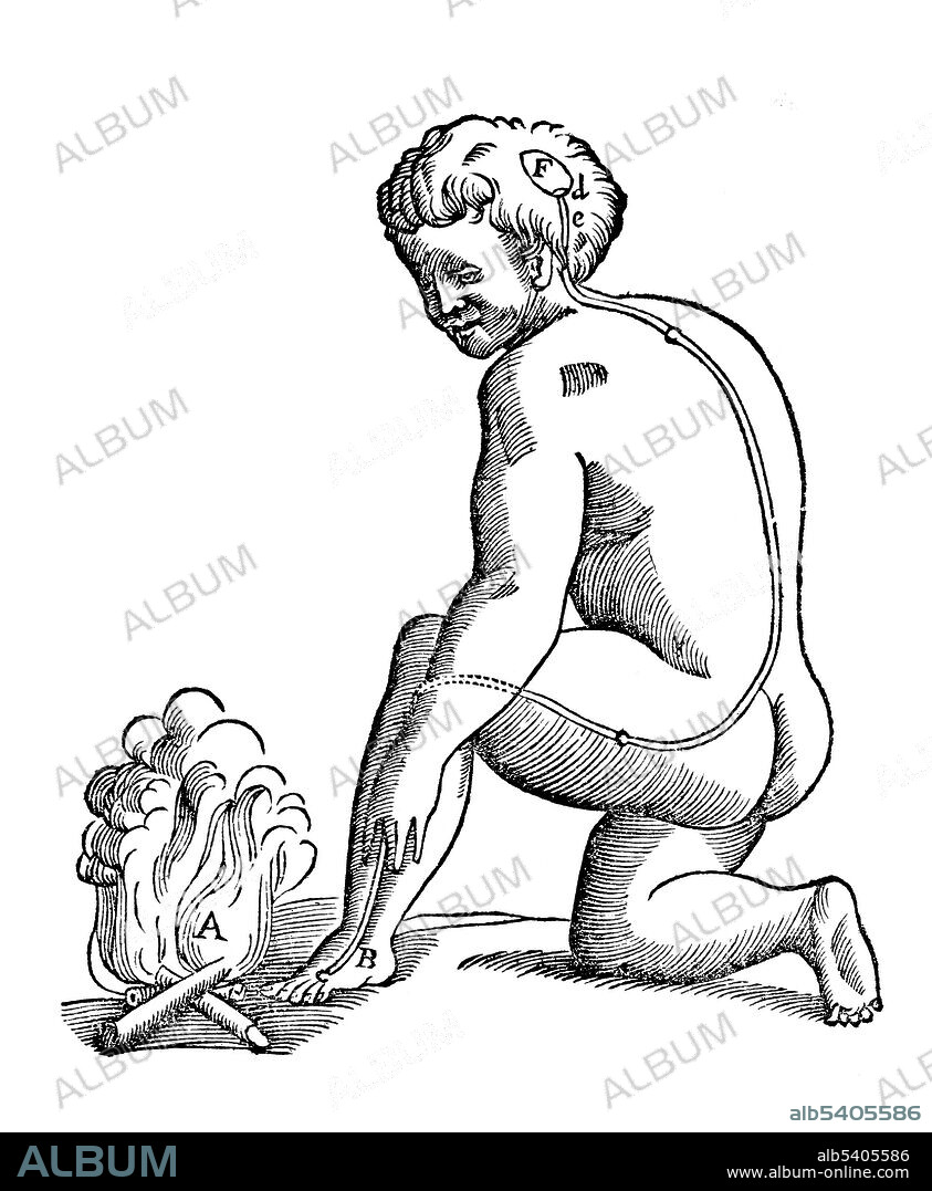 Rene Descartes, Model of Pain Perception, 1933