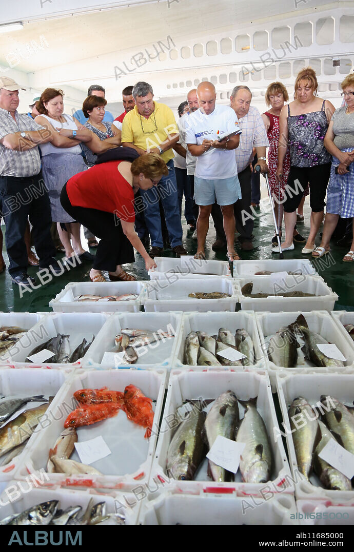 Fish auction, Fish market, Portonovo, Pontevedra province, Galicia, Spain.