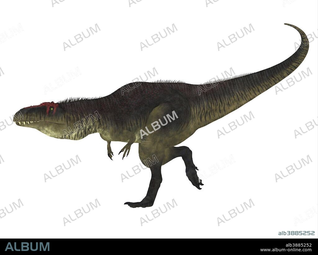 Tyrannotitan dinosaur side view. Tyrannotitan was a carnivorous theropod dinosaur that lived in the Cretaceous Period of Argentina.