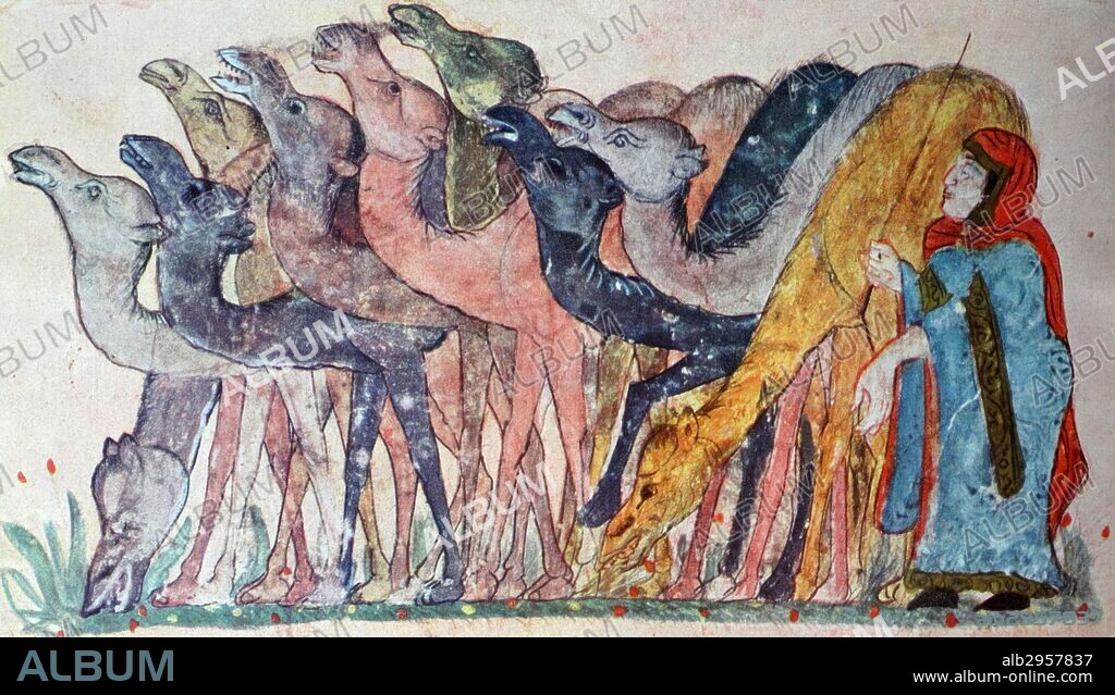 Herd of camels, arab miniature by Al Wasiti from 'Maqamat' by Al Hariri, school of baghdad 1237.