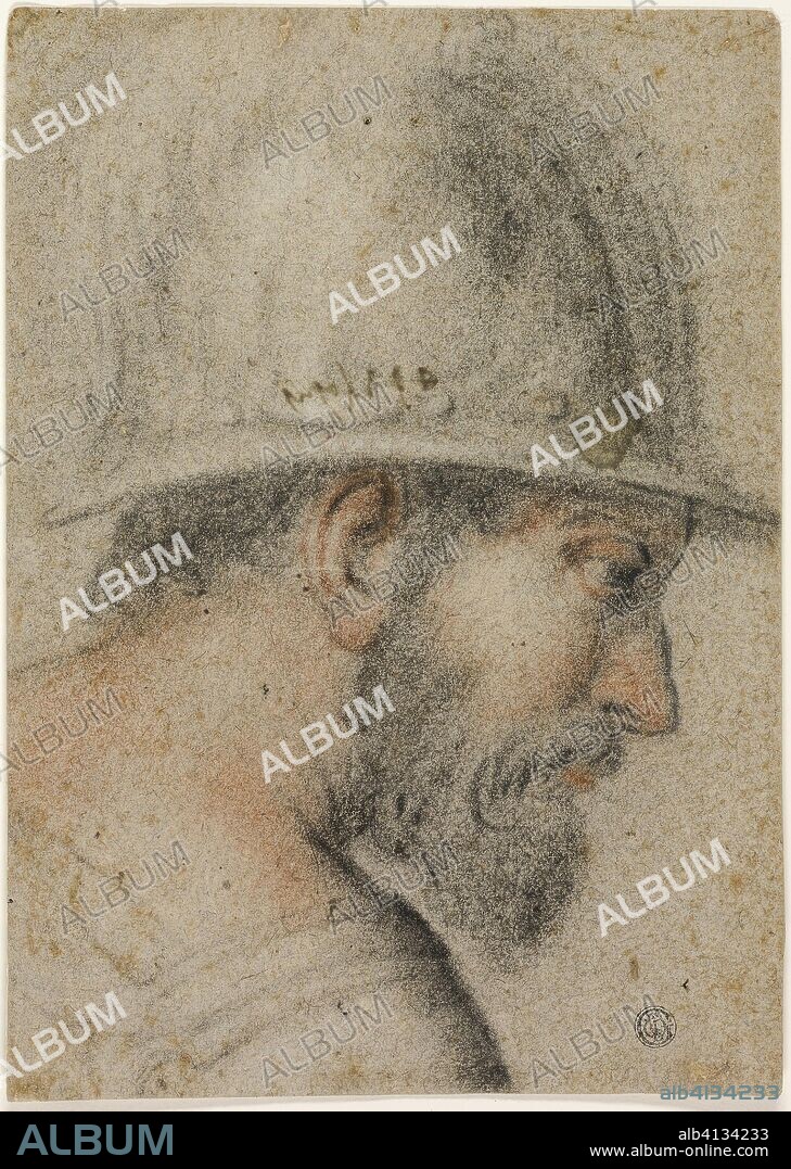 Profile Head of a Soldier with Helmet. Attributed to Gabriele Caliari; Italian, 1568-1631. Date: 1588-1596. Dimensions: 267 x 190 mm. Red and black chalk on gray-brown laid paper, laid down on cream laid paper. Origin: Italy.
