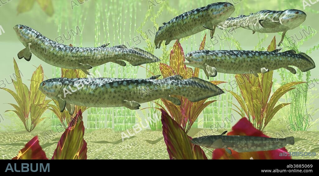 Rhizodus hibberti, an extinct group of Carboniferous predatory lobe-finned fish.