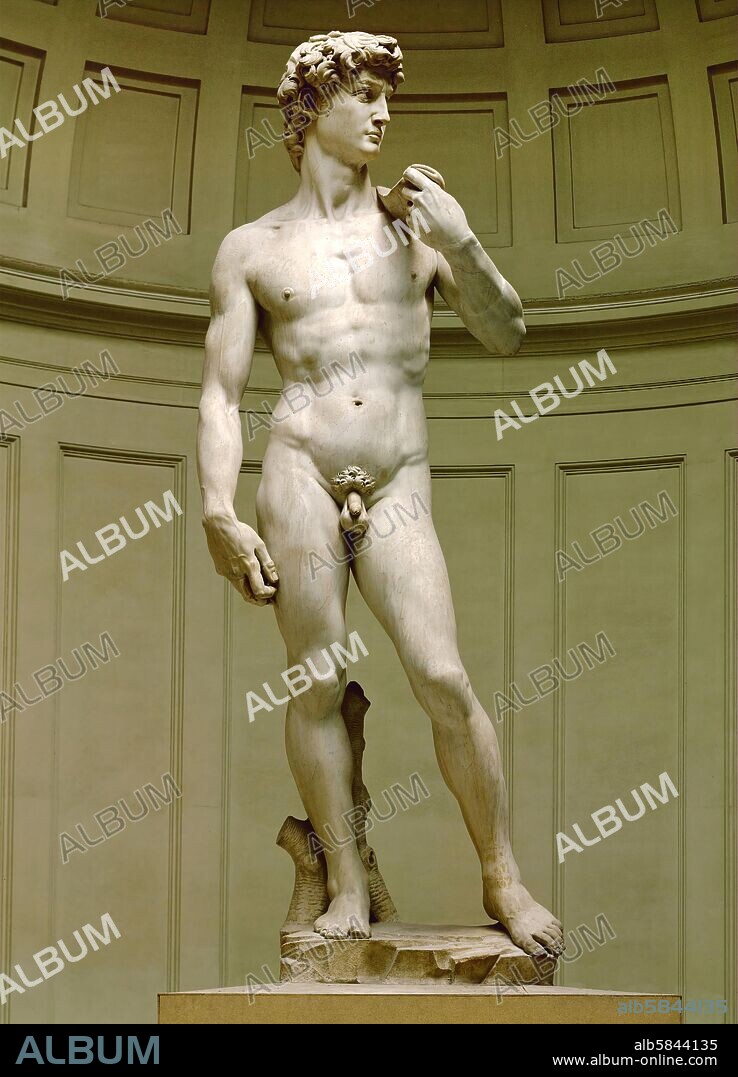 MICHELANGELO. David. Marble statue (after 1501).