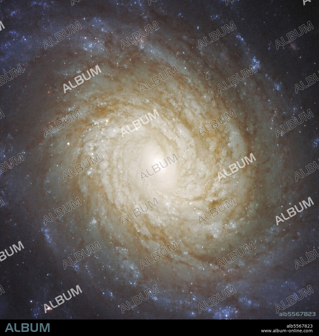 Nucleus of spiral galaxy NGC 976.