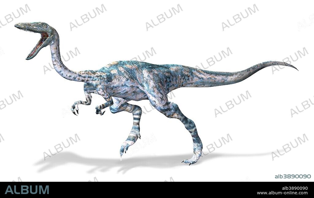 3D rendering of a Coelophysis dinosaur.