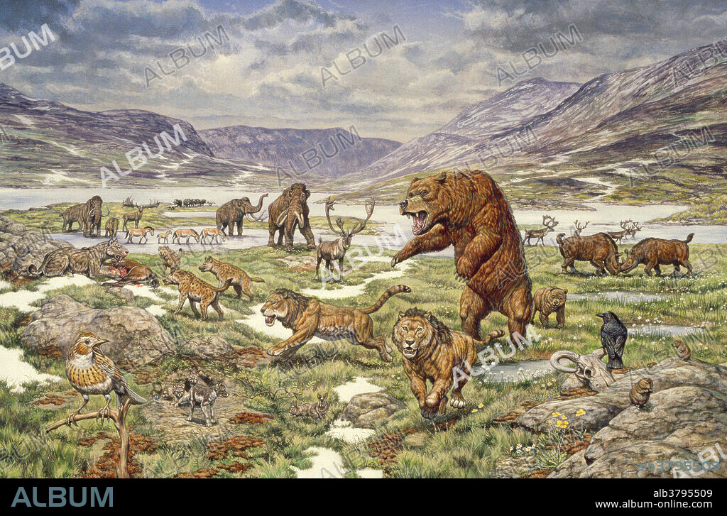 Pleistocene age (Ice Age) animals, miscellaneous species.