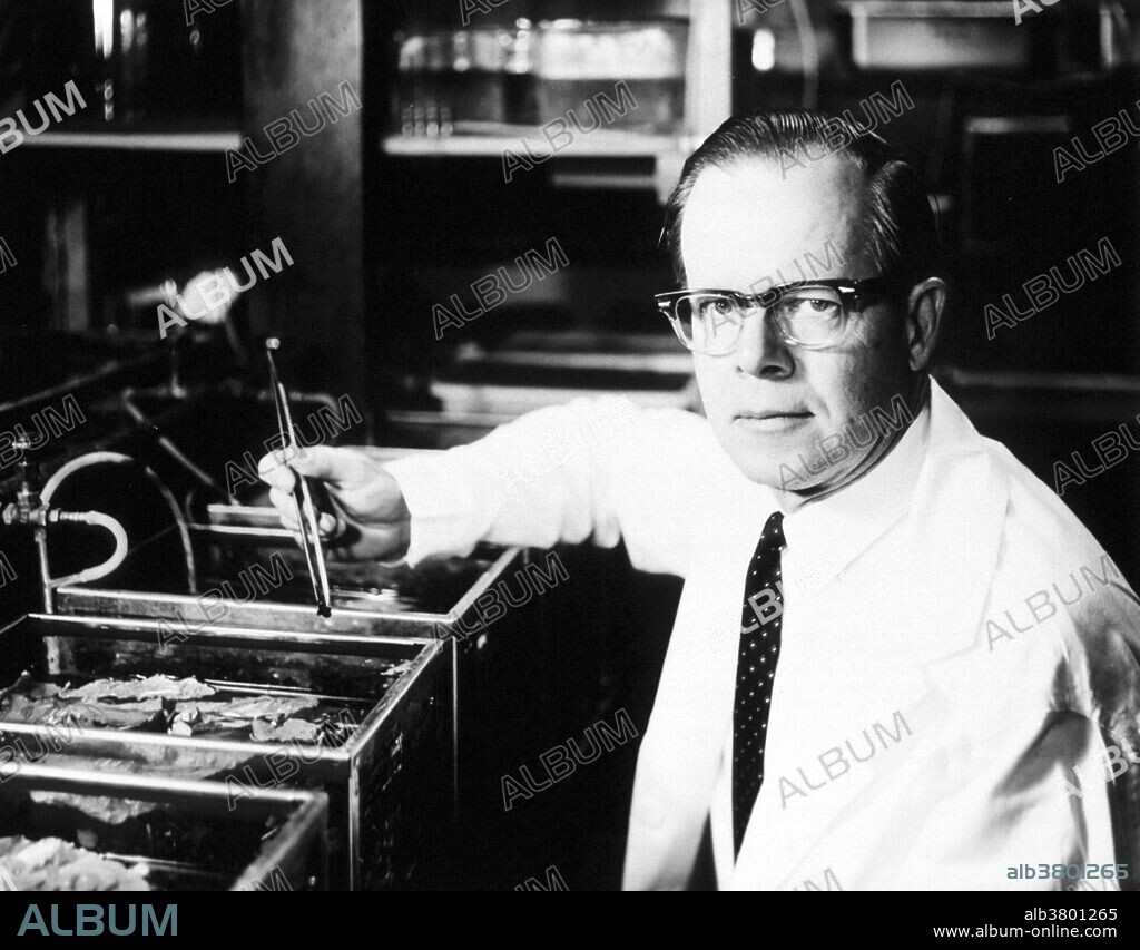 Thomas Huckle Weller (1915-2008) was an American virologist. Weller studied medical zoology and received a B.S. and an M.S., with his masters thesis on fish parasites. In 1936, Weller entered Harvard Medical School where he received his MD in 1940, and went to work at Children's Hospital in Boston. In 1942, during World War II, he entered the Army Medical Corps. In 1947, that he rejoined John Franklin Enders in the newly-created Research Division of Infectious Diseases. In 1954 Weller and Enders won the Nobel Prize in Physiology or Medicine for showing how to cultivate poliomyelitis viruses in a test tube, using tissue from a monkey. Weller also contributed to treating schistosomiasis and Coxsackie viruses. He was also the first to isolate the virus responsible for varicella. He died in 2008 at the age of 93.