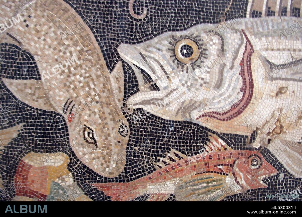Mosaic of Pompeii, kept in Naples. It represents fish, which is one of the main themes of this decorative art. The animal. made of small frequently marble of various colors..