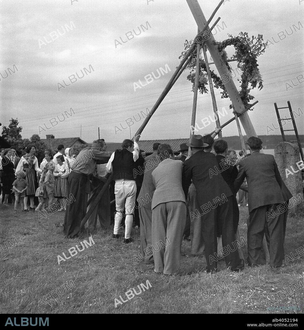 Raising the maypole for the Midsummer celebrations, Sweden, 1951. Midsummer's Eve and Midsummer's Day (Midsommarafton and Midsommardagen) are celebrated from the eve of the Friday that falls between the 19th and the 25th of June. It is probably the most important holiday of the year in Sweden.