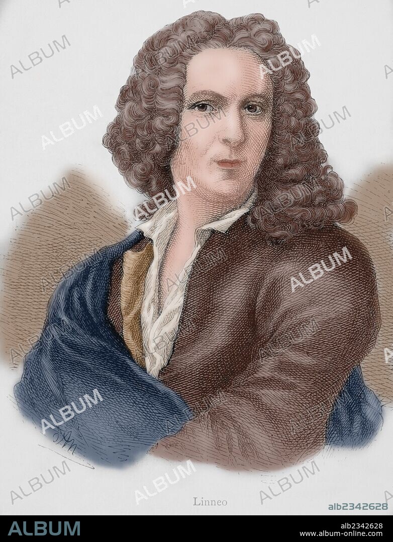 LINNEO, Carl von (Rashult, 1707-Uppsala, 1778), médico y botánico sueco. Estableció la nomenclatura por la que todo ser vivo esta designado por sus dos nombres latinos, el del género y el de la especie. En 1735 realizó una clasificación de las plantas. Grabado de G. Neumann. "Nuestro Siglo", 1883. Coloreado.